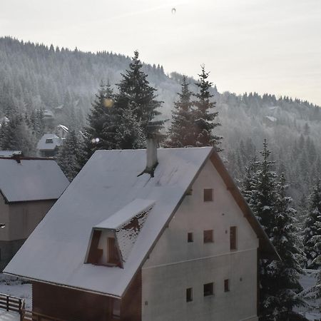Vila Irina Kopaonik Exteriér fotografie