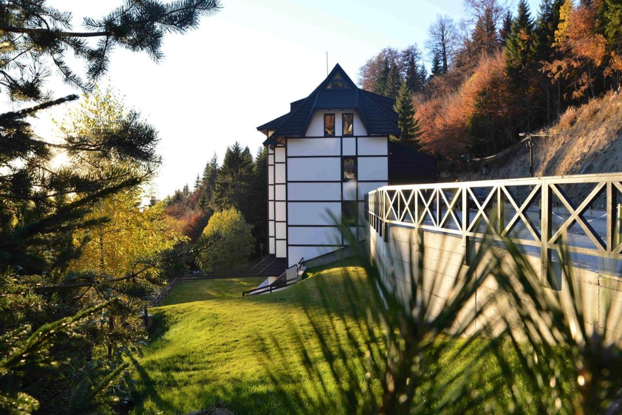 Vila Irina Kopaonik Exteriér fotografie