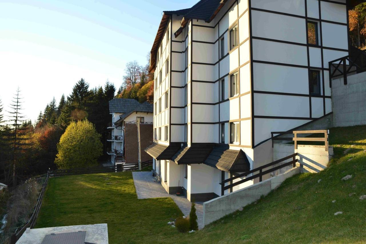 Vila Irina Kopaonik Exteriér fotografie