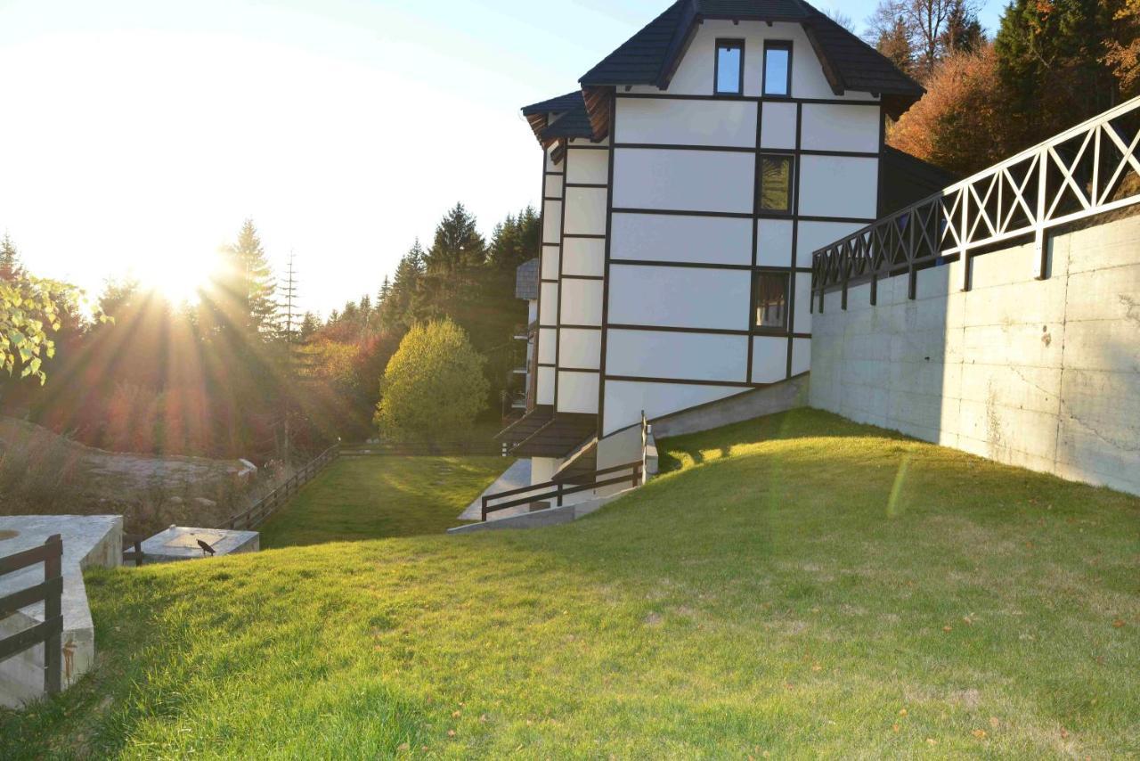 Vila Irina Kopaonik Exteriér fotografie