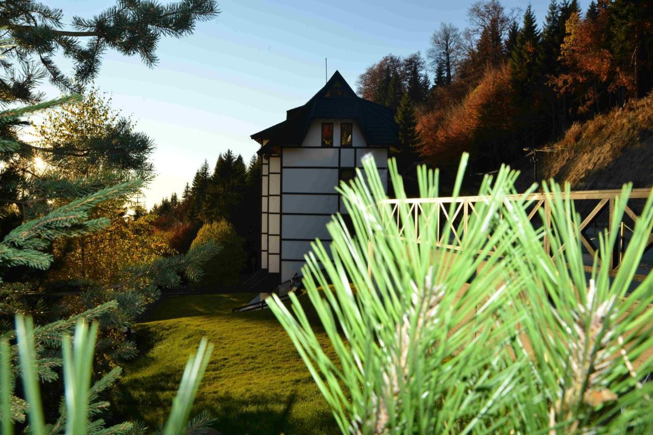 Vila Irina Kopaonik Exteriér fotografie