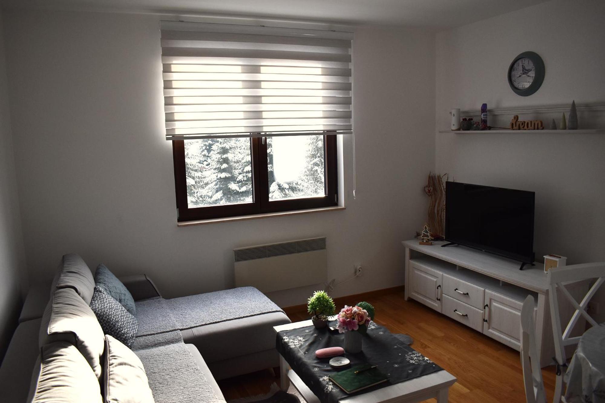 Vila Irina Kopaonik Exteriér fotografie