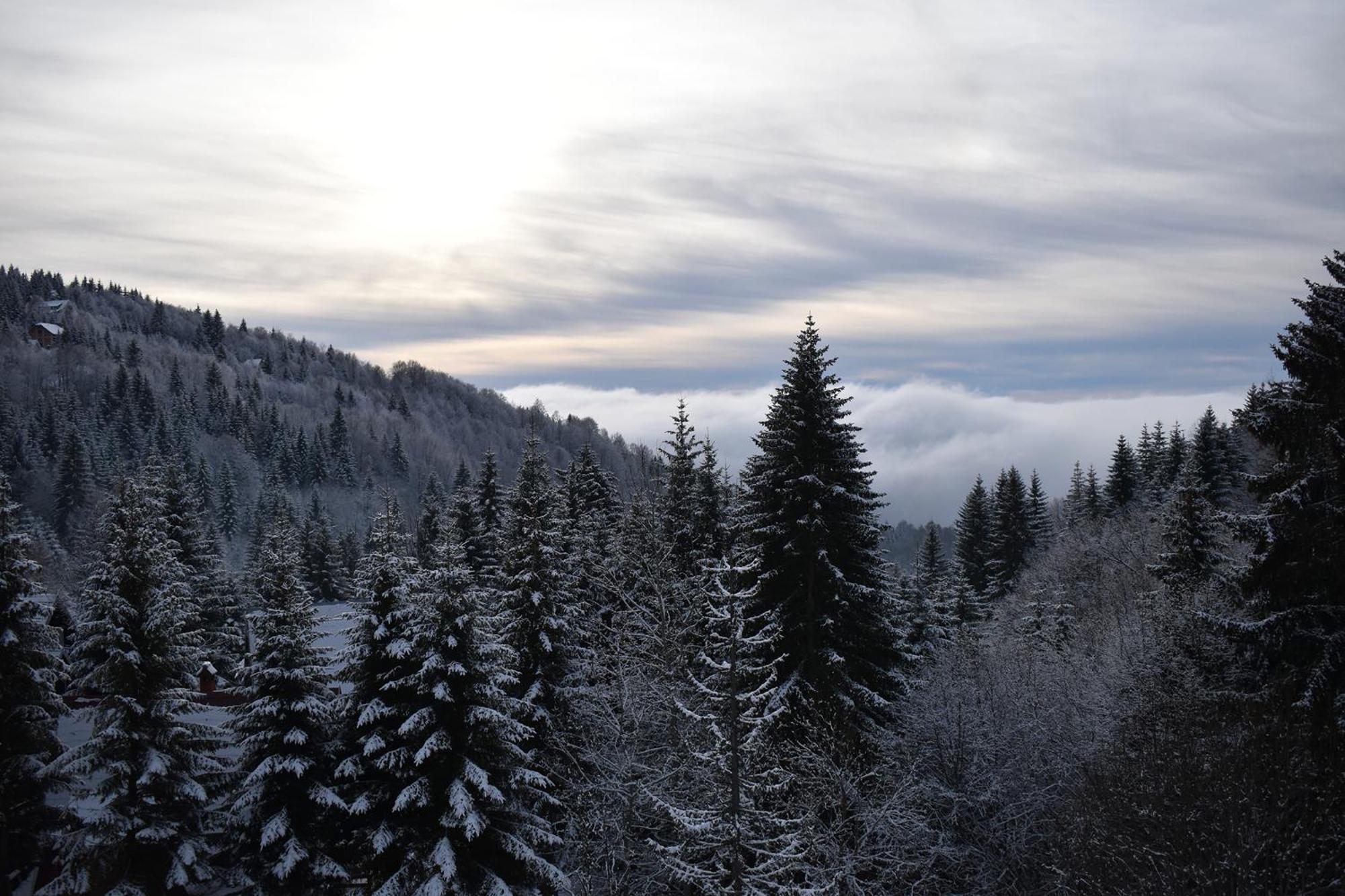Vila Irina Kopaonik Exteriér fotografie