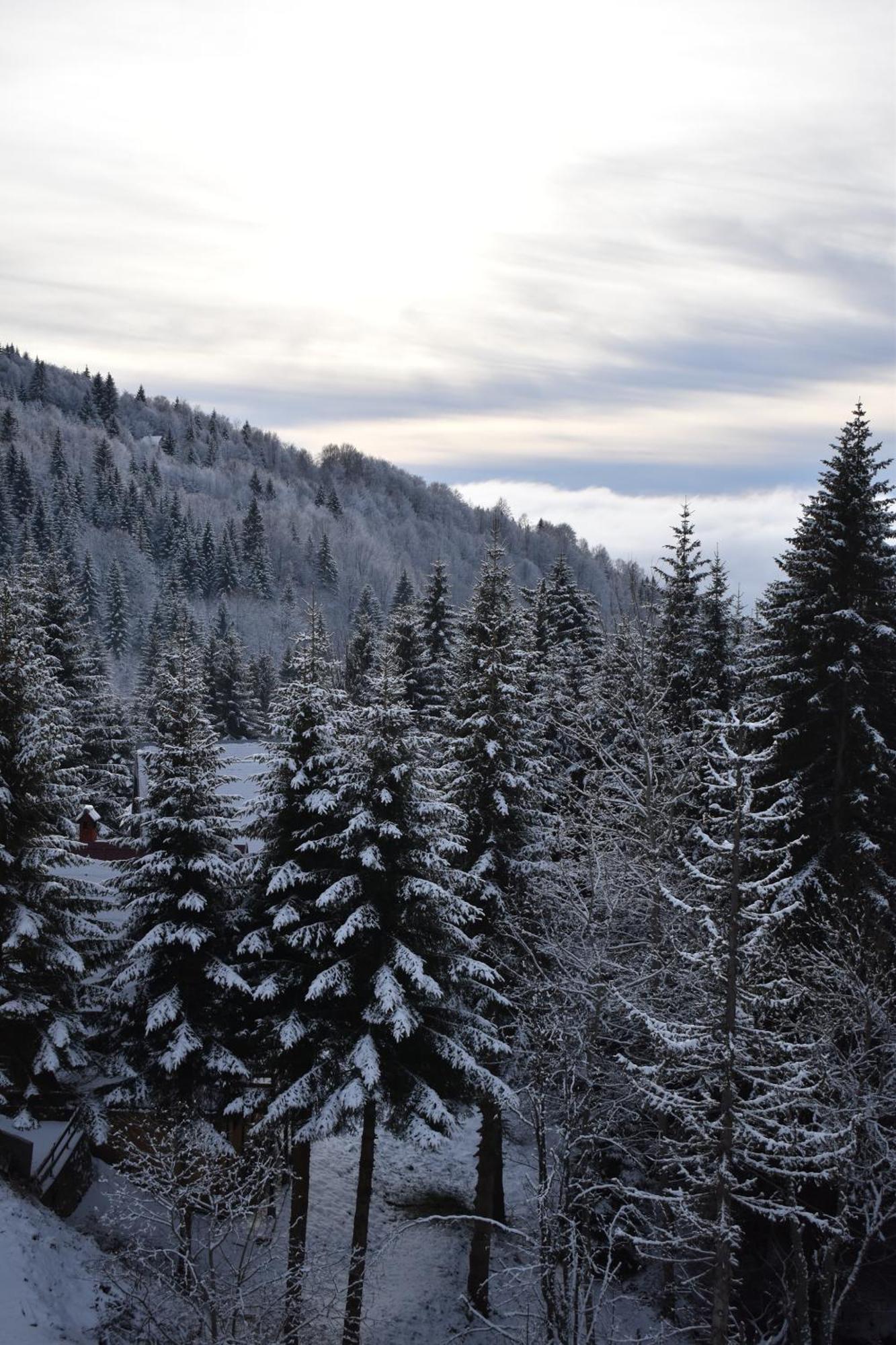 Vila Irina Kopaonik Exteriér fotografie
