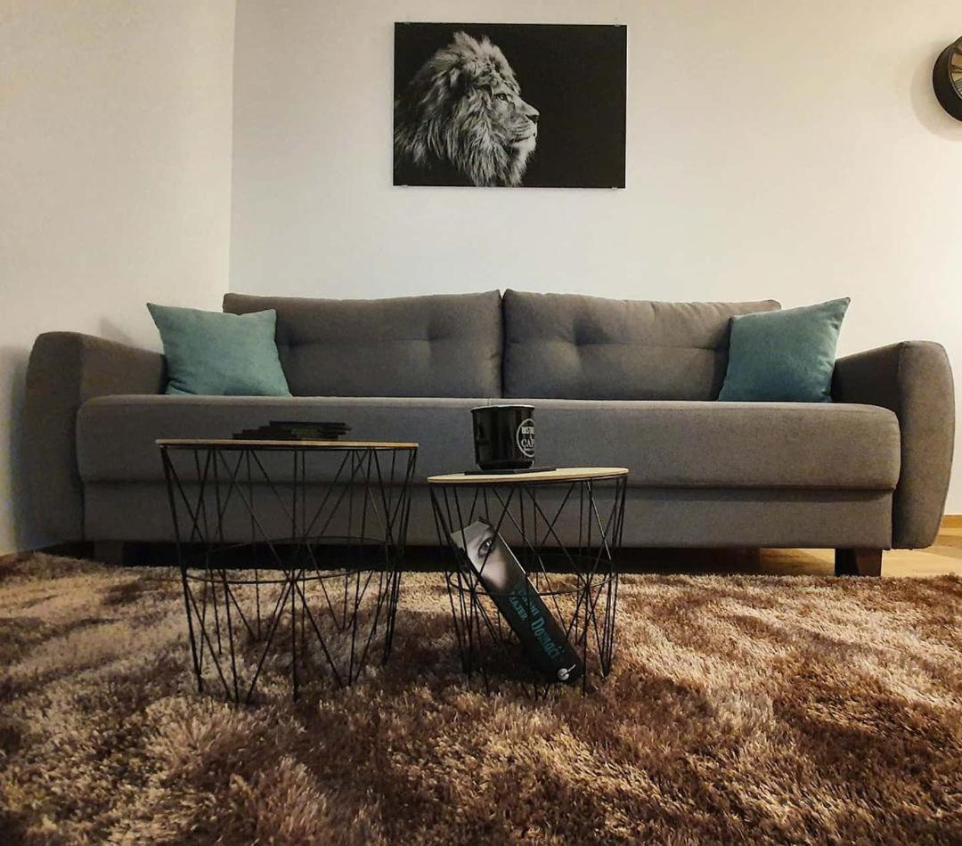 Vila Irina Kopaonik Exteriér fotografie
